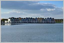 _d3s6131_13.jpg