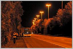 _d3s6315_2.jpg