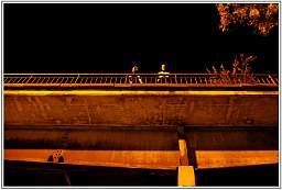 _d3s6333_17.jpg