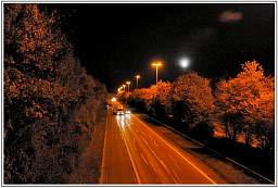 _d3s6337_19.jpg