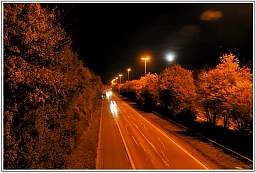 _d3s6338_20.jpg