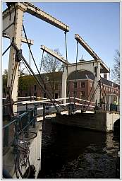 _d3s6248_31.jpg