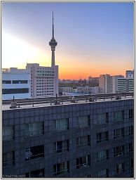 img_014263_3.jpg