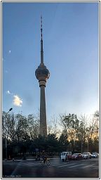 img_014169_4.jpg