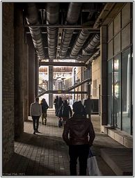 img_014123_56.jpg