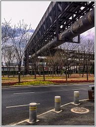img_014128_61.jpg
