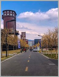 img_014142_73.jpg