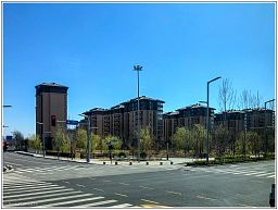 img_014290_12.jpg