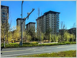 img_014291_13.jpg