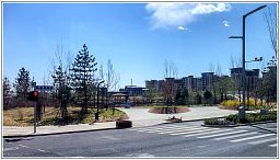 img_014312_32.jpg