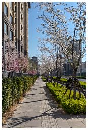 dxo_4784_8.jpg