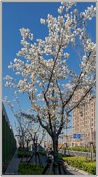 dxo_4804_19.jpg