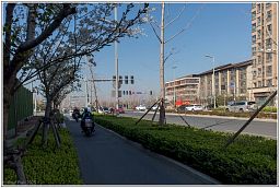 dxo_4811_23.jpg