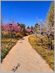 img_014335_img_014864_41.jpg