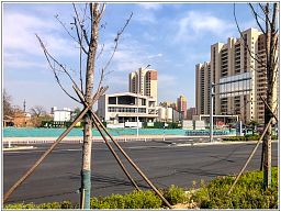 img_014411_37.jpg