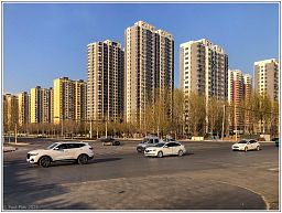 img_014458_49.jpg