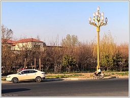 img_014472_60.jpg