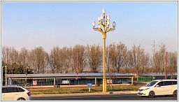 img_014474_62.jpg