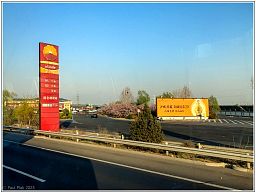 img_014486_3.jpg