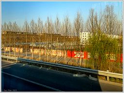 img_014497_6.jpg