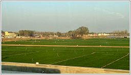 img_014551_10.jpg
