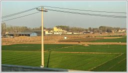 img_014553_11.jpg