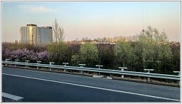 img_014595_18.jpg