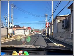 dxo_4950_img_014626_12.jpg