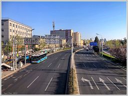 img_014795_11.jpg
