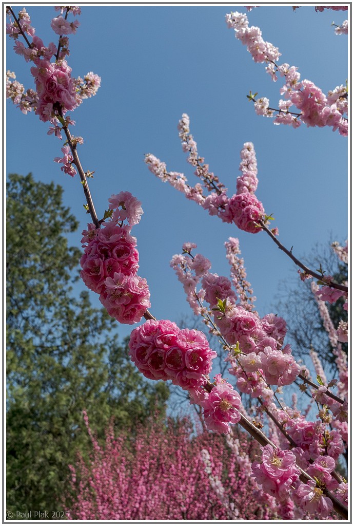 DXO_5260.jpg