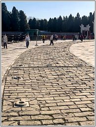 img_014772_179.jpg