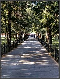 img_014779_186.jpg
