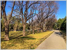 img_014782_190.jpg