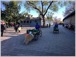 img_014788_195.jpg