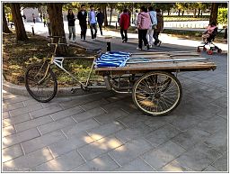 img_014789_196.jpg