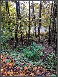 img_013455.jpg