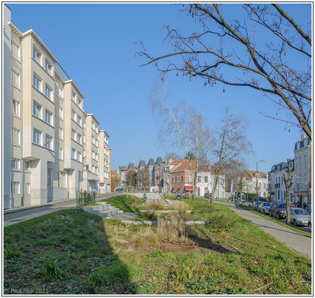 009_4118-Pano.jpg
