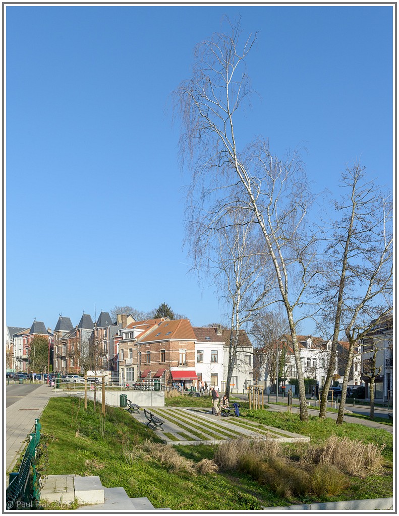 009_4205-Pano-2.jpg