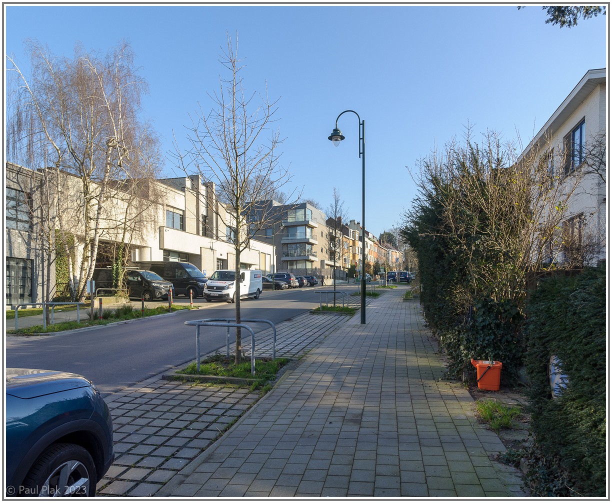 009_4250-Pano.jpg
