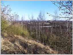 dscn1441_16.jpg