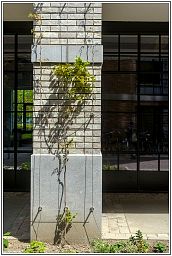 009_4765_90.jpg