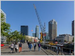 009_4964pano_5.jpg
