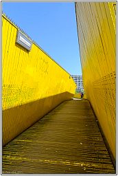 009_5042_40.jpg