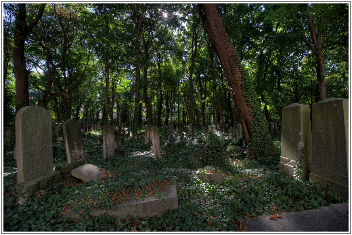 002_1676_1684_tonemapped.jpg