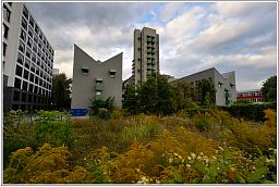 002_1900_1.jpg