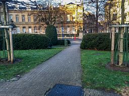 img_4211_8.jpg