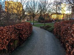 img_4242_39.jpg