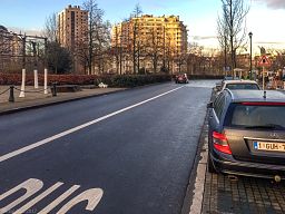 img_4253_50.jpg