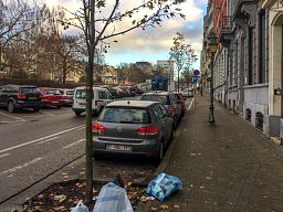 img_4285_82.jpg