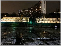 img_0313_2.jpg